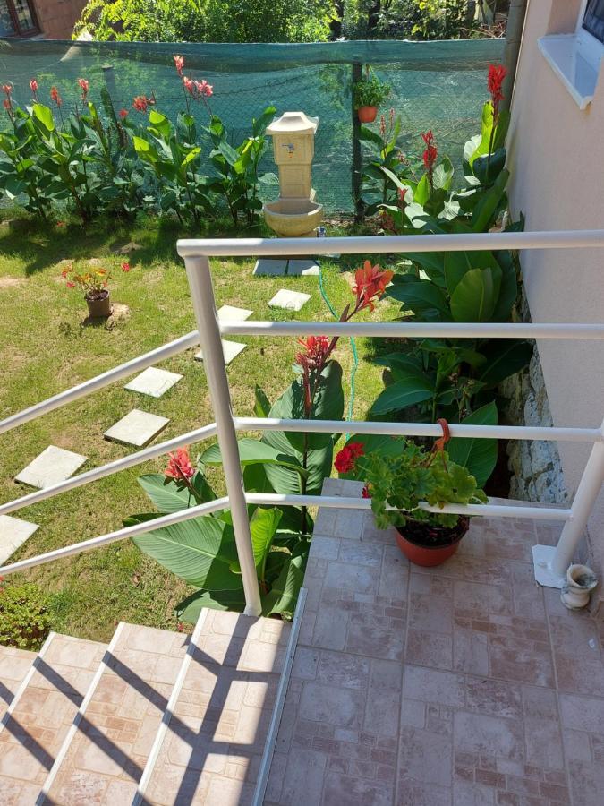 Fenix Apartment & Rooms Vinci Ngoại thất bức ảnh